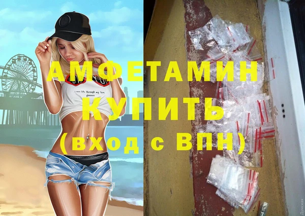 стаф Алзамай