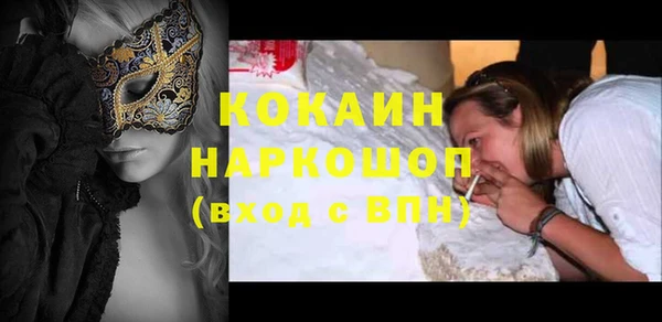 стаф Алзамай