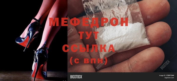 стаф Алзамай