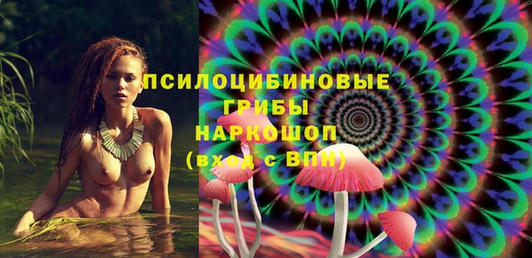 МДПВ Алексеевка