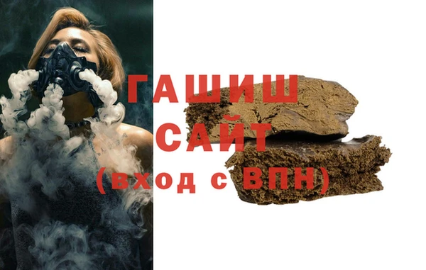 стаф Алзамай