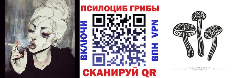 Псилоцибиновые грибы мицелий  Арсеньев 