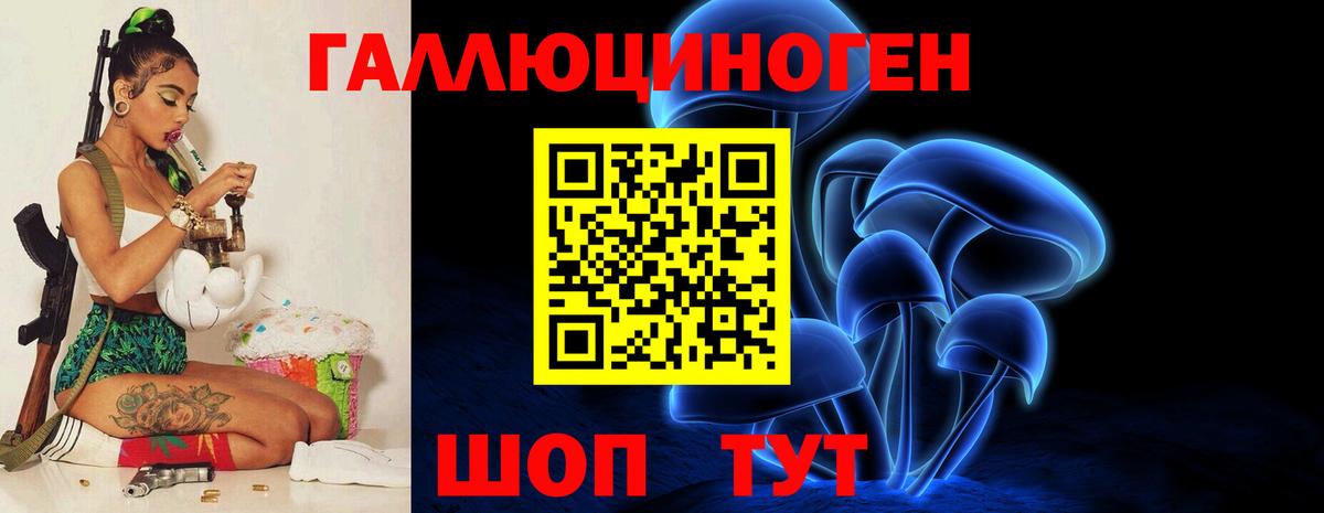 Арсеньев  Галлюциногенные грибы мицелий  Вход с VPN 